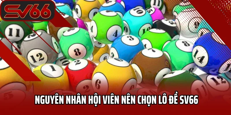 Lô Đề SV66 2 Nguyên nhân hội viên nên chọn lô đề SV66
